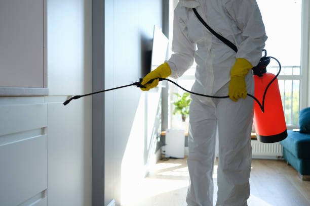 Best Residential Mold Removal  in Bethel, NC